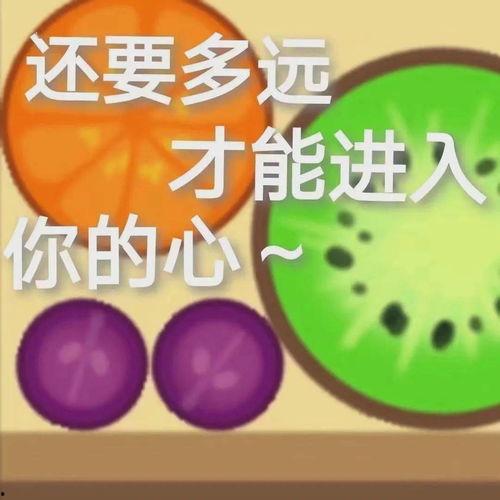 娱乐吃瓜君传,娱乐圈最新热点事件大追踪