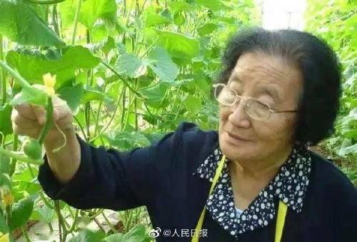 娱乐吃瓜酱孩子提前回家,揭秘孩子提前回家背后的故事