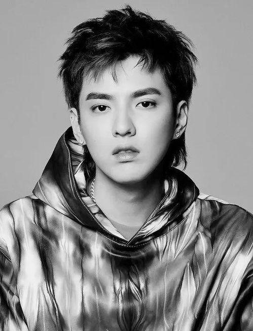 吃瓜鹅明星娱乐,揭秘娱乐圈幕后故事与热点事件