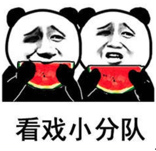搞笑娱乐吃瓜,笑料百出！娱乐圈吃瓜大揭秘