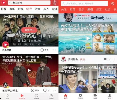 娱乐吃瓜蜀黍广告视频在线观看,揭秘热门广告视频，带你领略网络娱乐新风尚