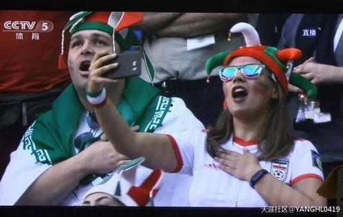 吃瓜群众娱乐版下载安装,轻松下载，畅享欢乐时光