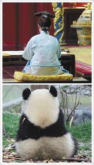 娱乐圈吃瓜群众bjyx,揭秘bjyx背后的故事与真相