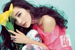 吃瓜娱乐圈小说封面图片,娱乐圈幕后风云录