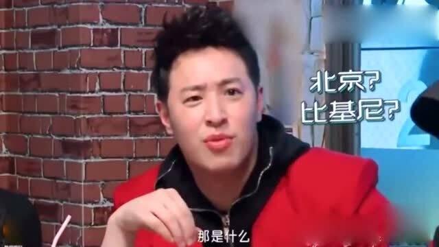 娱乐圈吃瓜熊婶是谁的孩子,揭秘“吃瓜熊婶”背后的神秘之子