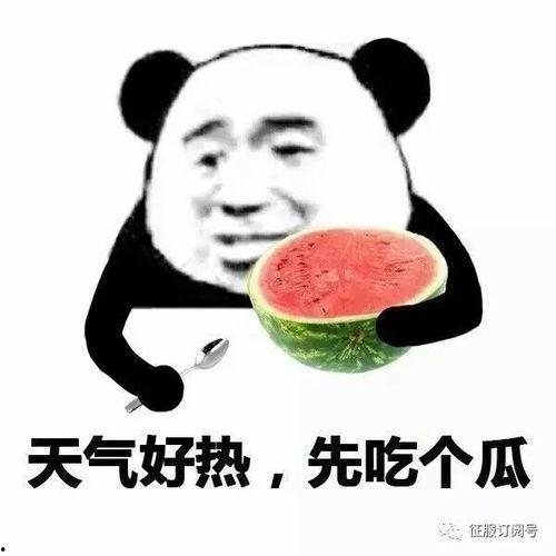 娱乐吃瓜酱艾特出你朋友圈,【娱乐吃瓜酱独家揭秘】朋友圈热传事件深度解析