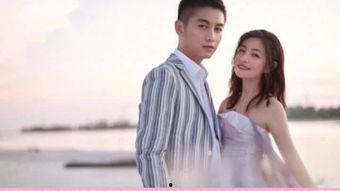 娱乐陈晓吃瓜小说,娱乐圈的甜蜜瓜田