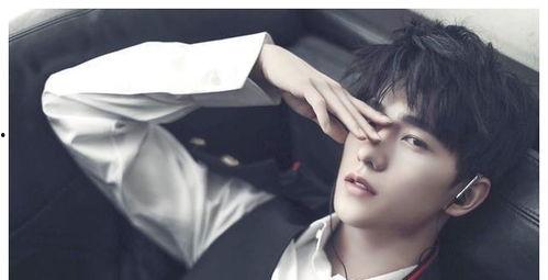 娱乐吃瓜杨洋,娱乐吃瓜界的焦点人物