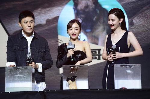 娱乐圈吃瓜爆料博主推荐