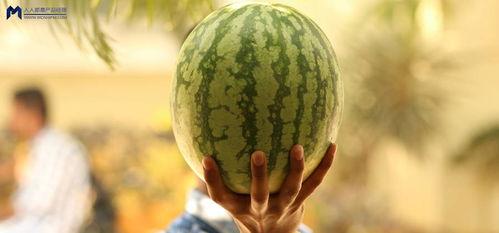 娱乐圈的瓜可以吃,揭秘明星幕后故事