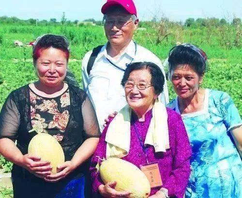 王教授吃瓜娱乐圈,揭秘娱乐圈背后的故事